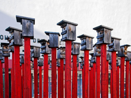 Défi 219 Rouge